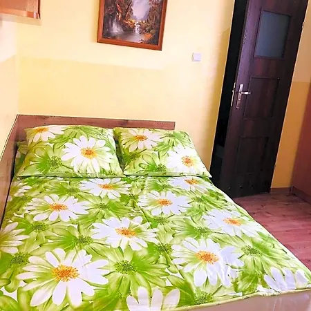 Bed & Breakfast Limba Leba