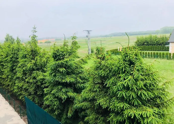 Limba Отель типа 